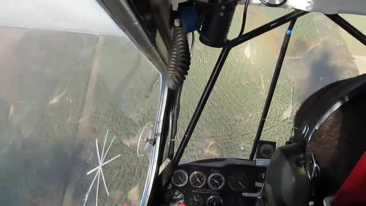 Looking out of a Super Decathlon cockpit with forest filling the windscreen, the pilot's headset at the edge of frame.